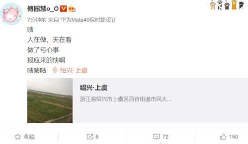 吃瓜去了怎么回复,网络热词背后的文化现象